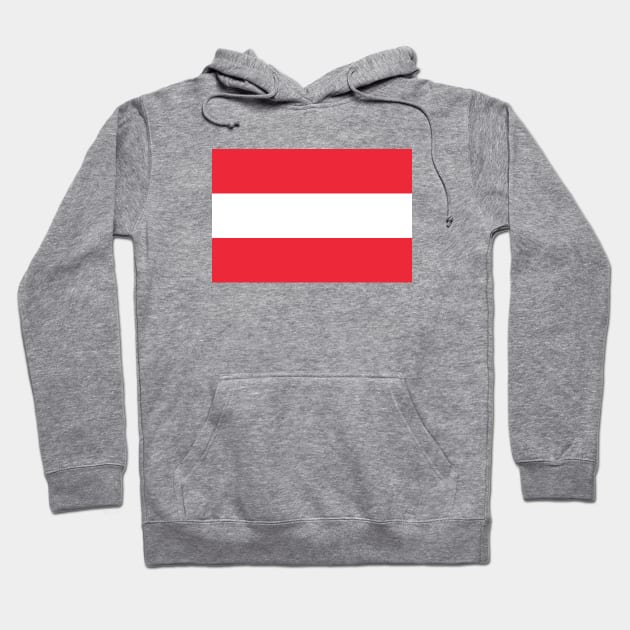 Austrian Flag in its Official Colors Hoodie by tiokvadrat